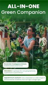 اسکرین شات 7 برنامه Florify: AI Plant Identifier