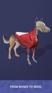 اسکرین شات 6 بازی Idle Pet - Create cell by cell