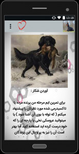 اسکرین شات 5 برنامه آموزش سگ شکاری