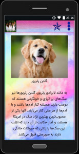 اسکرین شات 4 برنامه انواع نژاد سگ ها