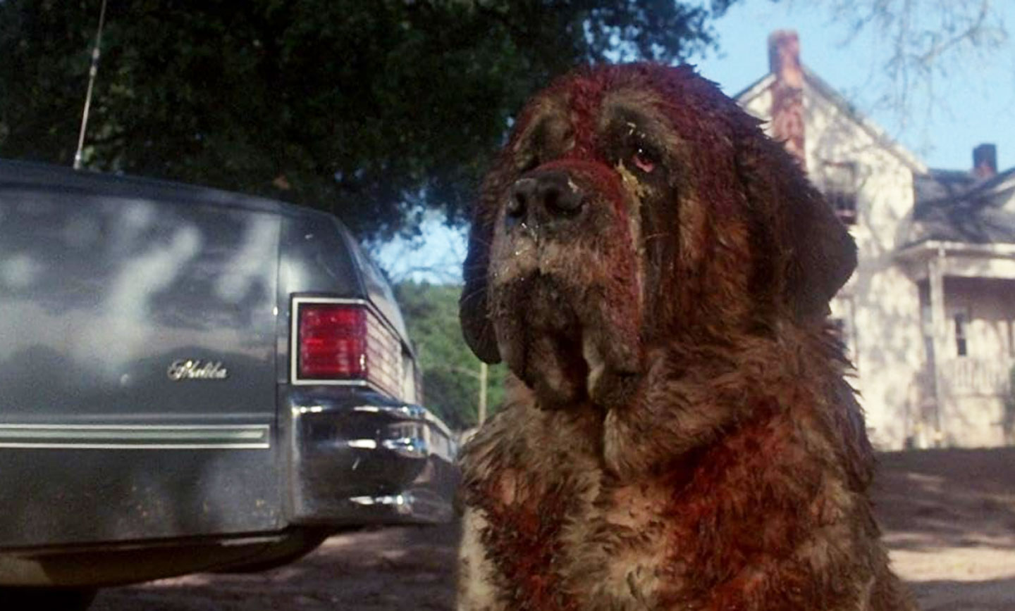 کوجو فیلمی ترسناک با محوریت یک سگ بامزه است