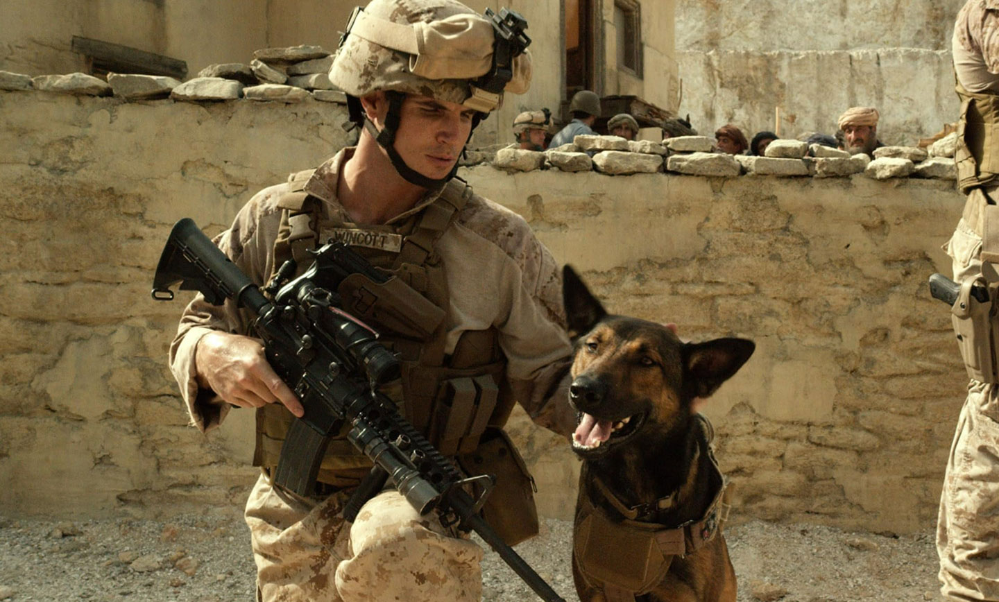 مکس داستان سگی از نژاد مالینوا بلژیکی را روایت می‌کند که در کنار تفنگداران دریایی آمریکا در افغانستان خدمت کرده است