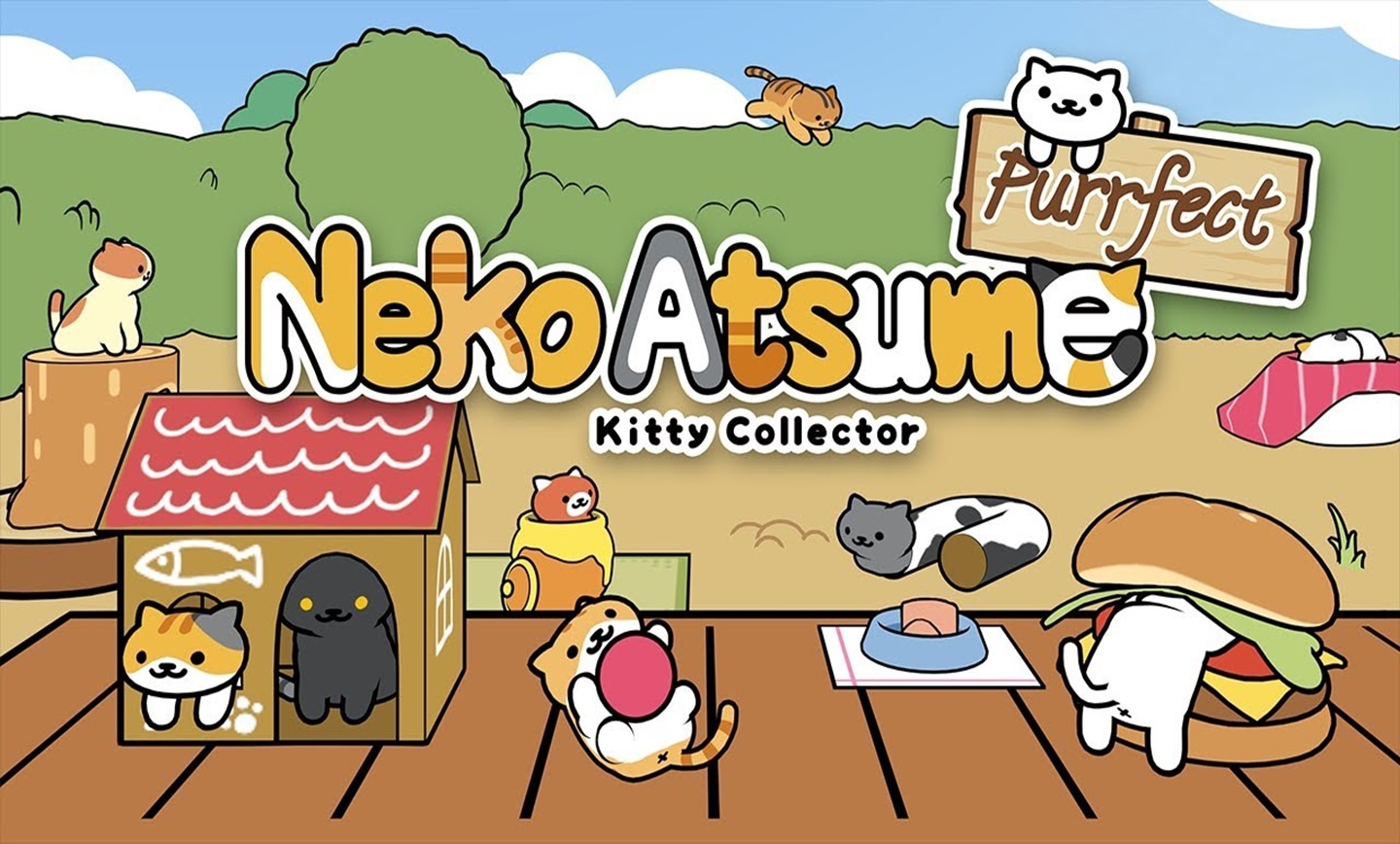 بازی Neko Atsume: Kitty Collector