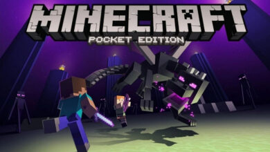 10 سید برتر نسخه Pocket Edition بازی ماینکرافت