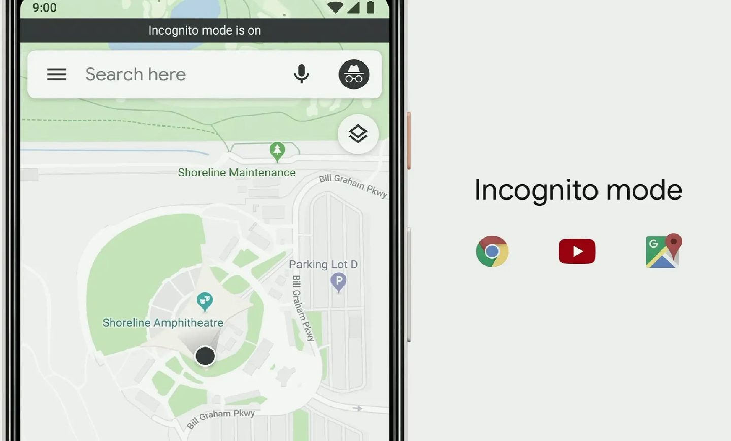 حالت ناشناس