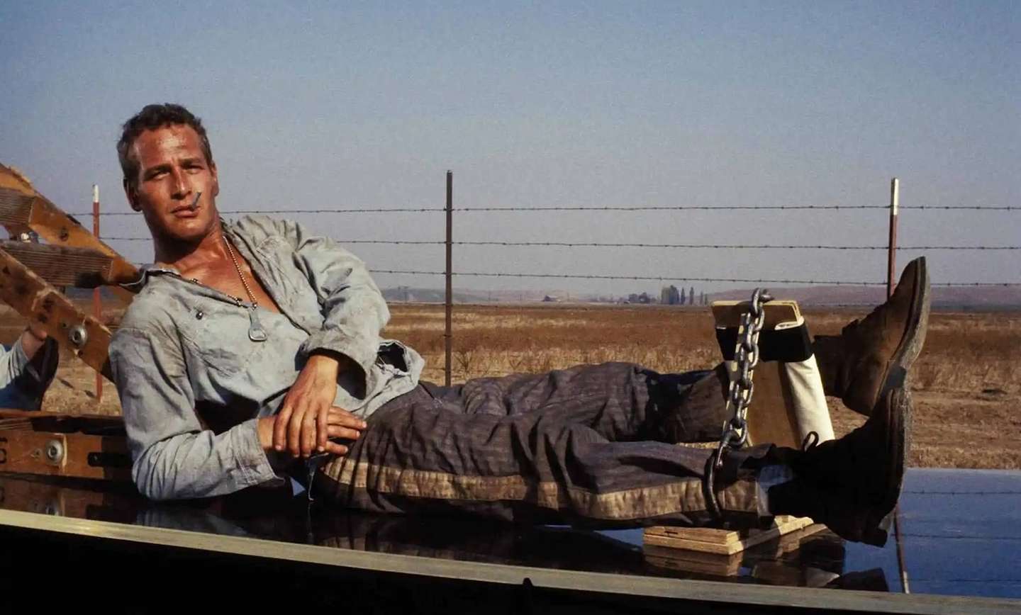 Cool Hand Luke فیلم‌های محبوب جیسون استاتهام