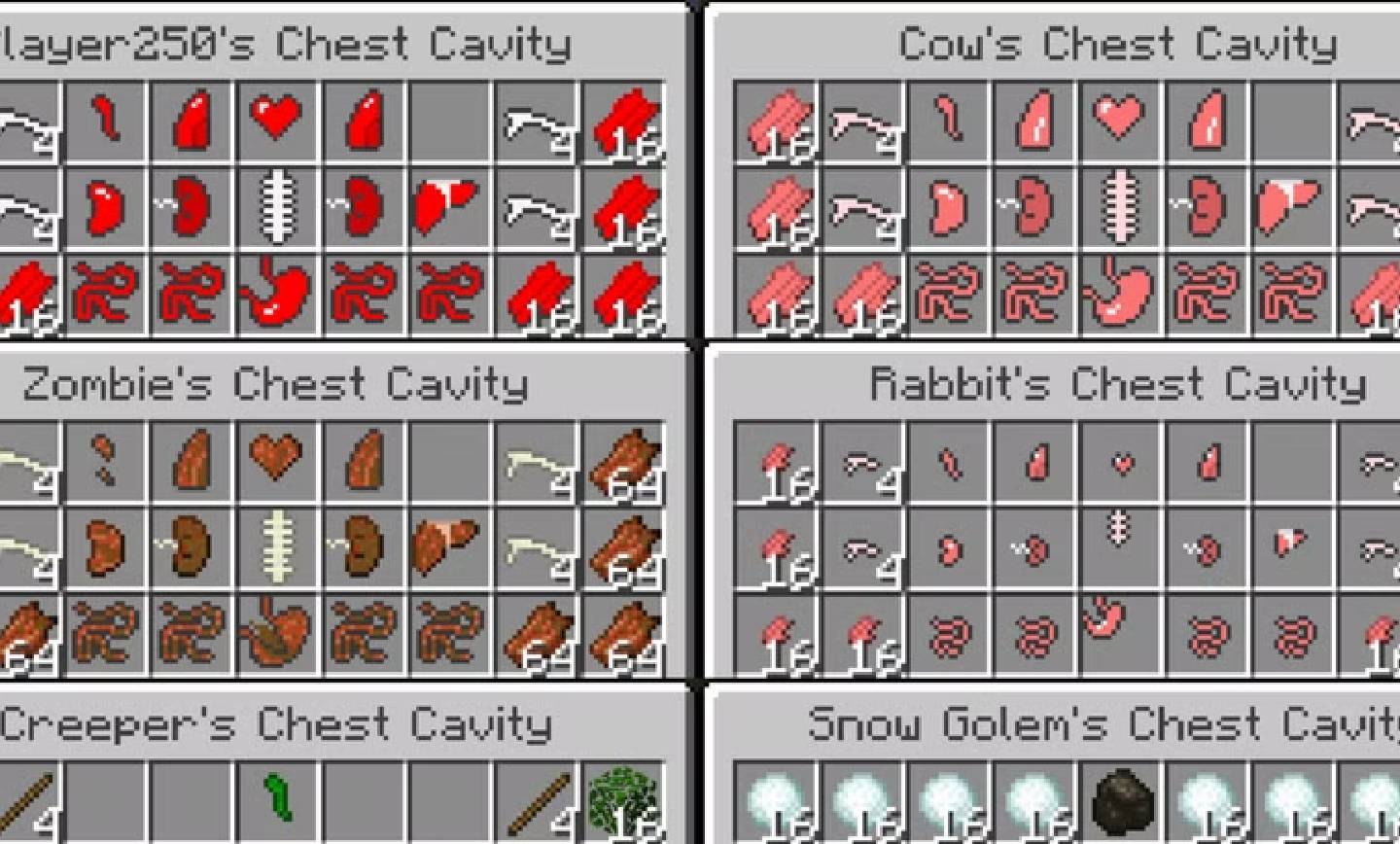 هر آنچه باید درباره ماد Surgery ماینکرافت بدانید