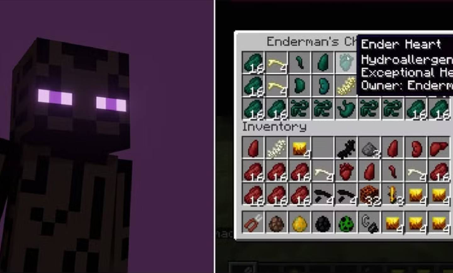 هر آنچه باید درباره ماد Surgery ماینکرافت بدانید