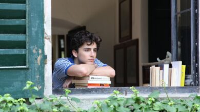 most-popular-timothee-chalamet-movies