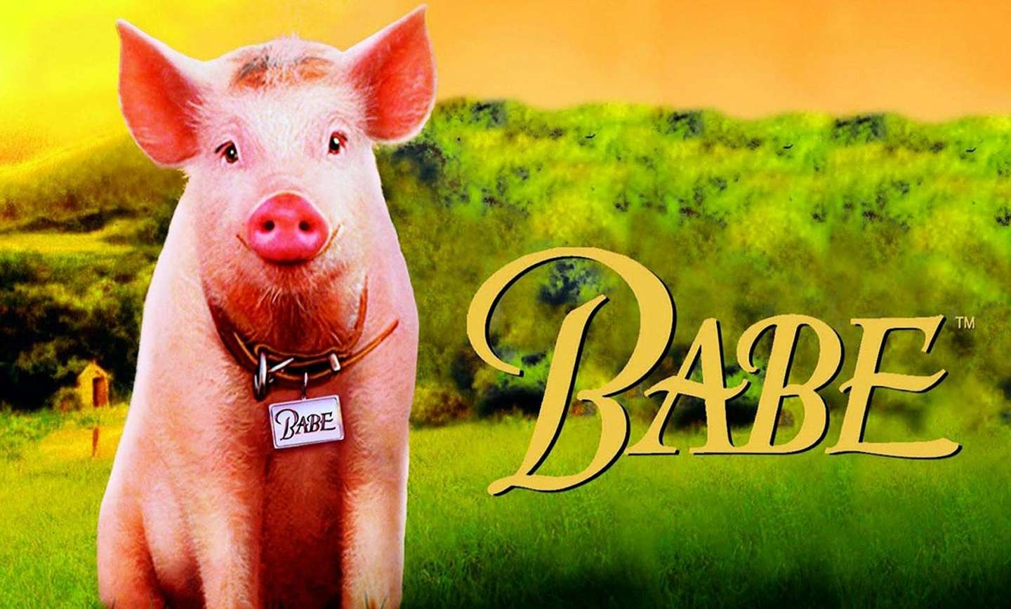 ‘Babe’ (1995)
بهترین فیلمهای خانوادگی