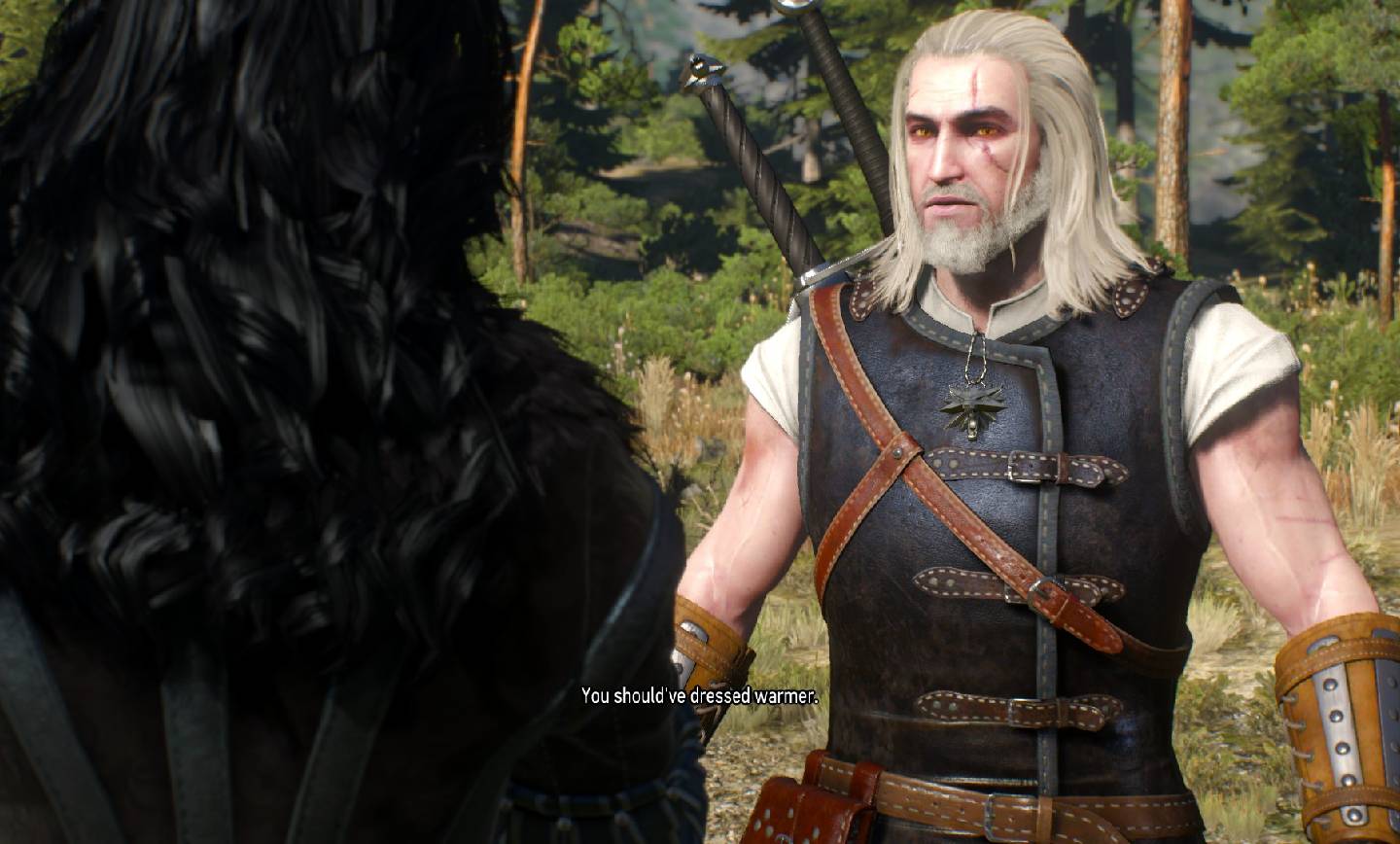 20 واقعیت مخفی دربارهی Witcher 3 که شما را شگفت زده خواهد کرد