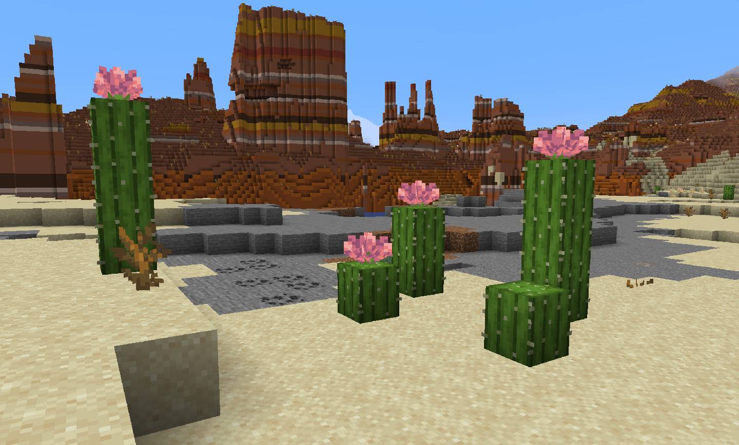 آموزش پیدا کردن و استفاده از گل کاکتوس در ماینکرافت