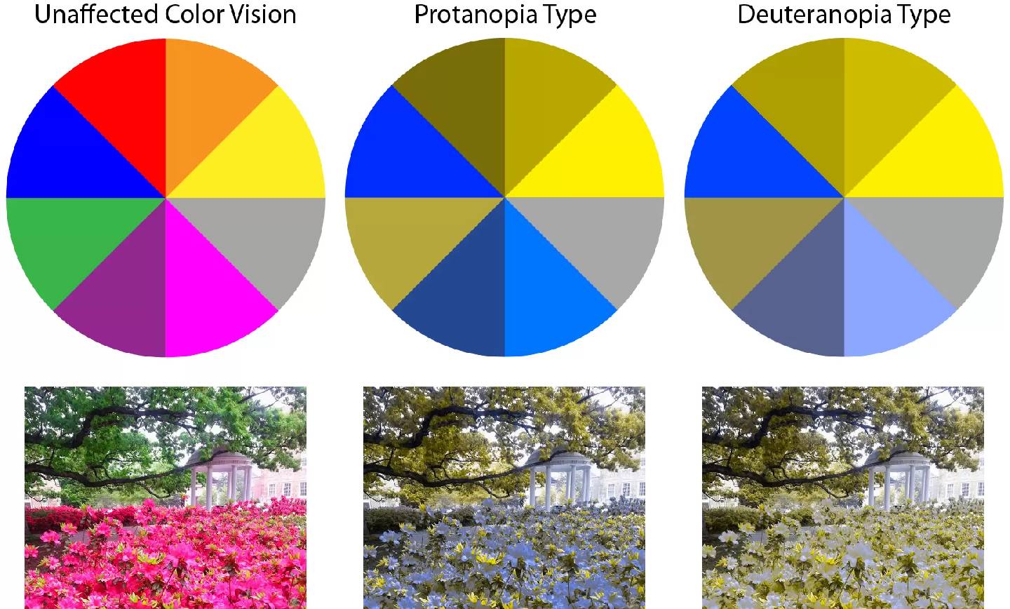 4 اپلیکیشن برتر برای افراد مبتلا به کوررنگی