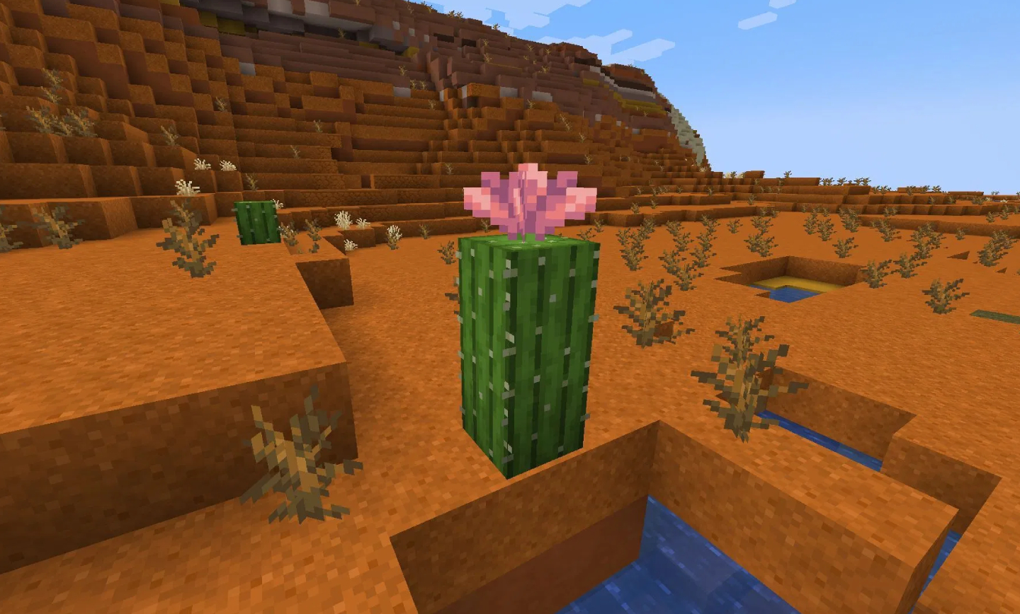 آموزش پیدا کردن و استفاده از گل کاکتوس در ماینکرافت