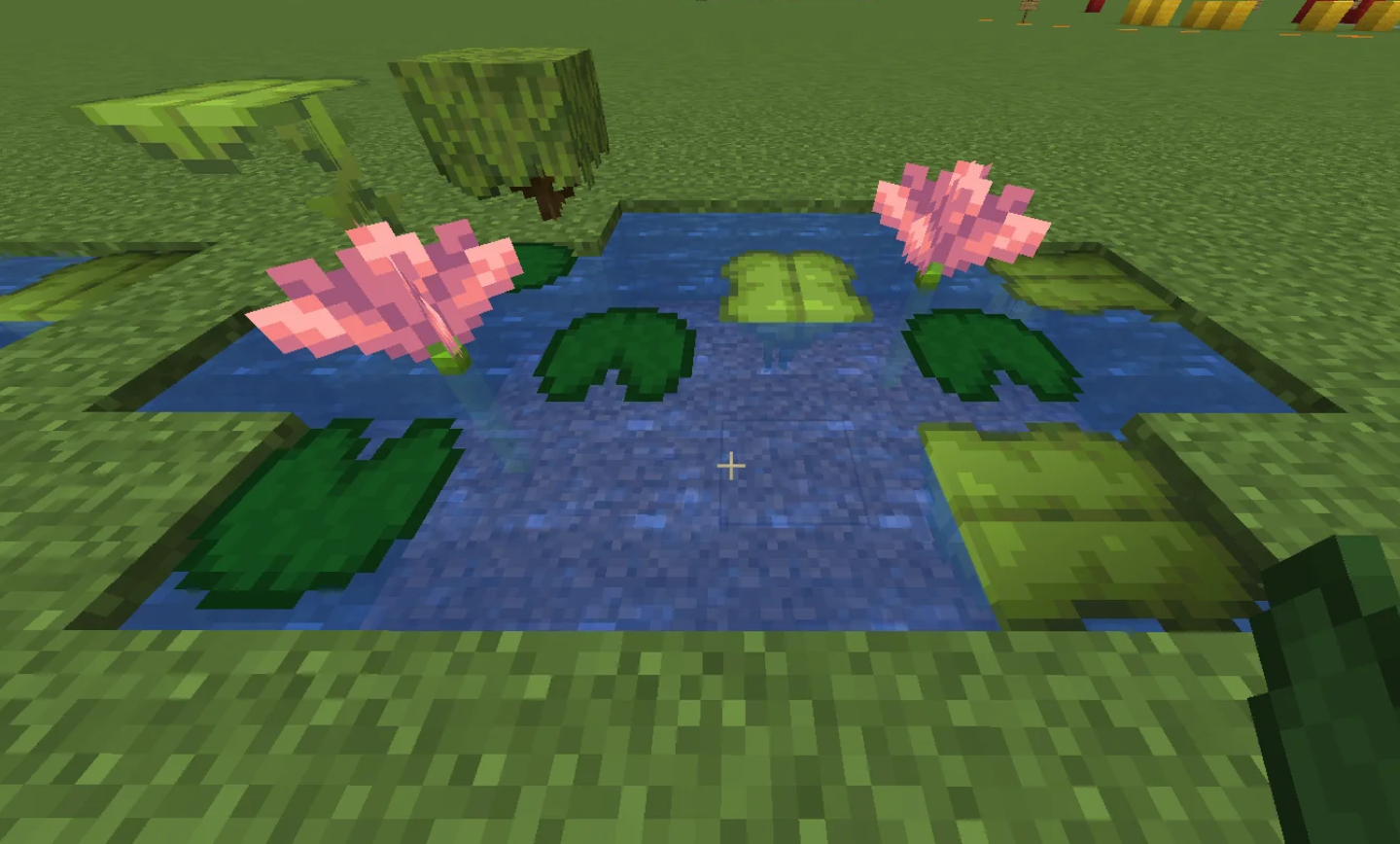 چگونه گل کاکتوس را پیدا کنیم؟