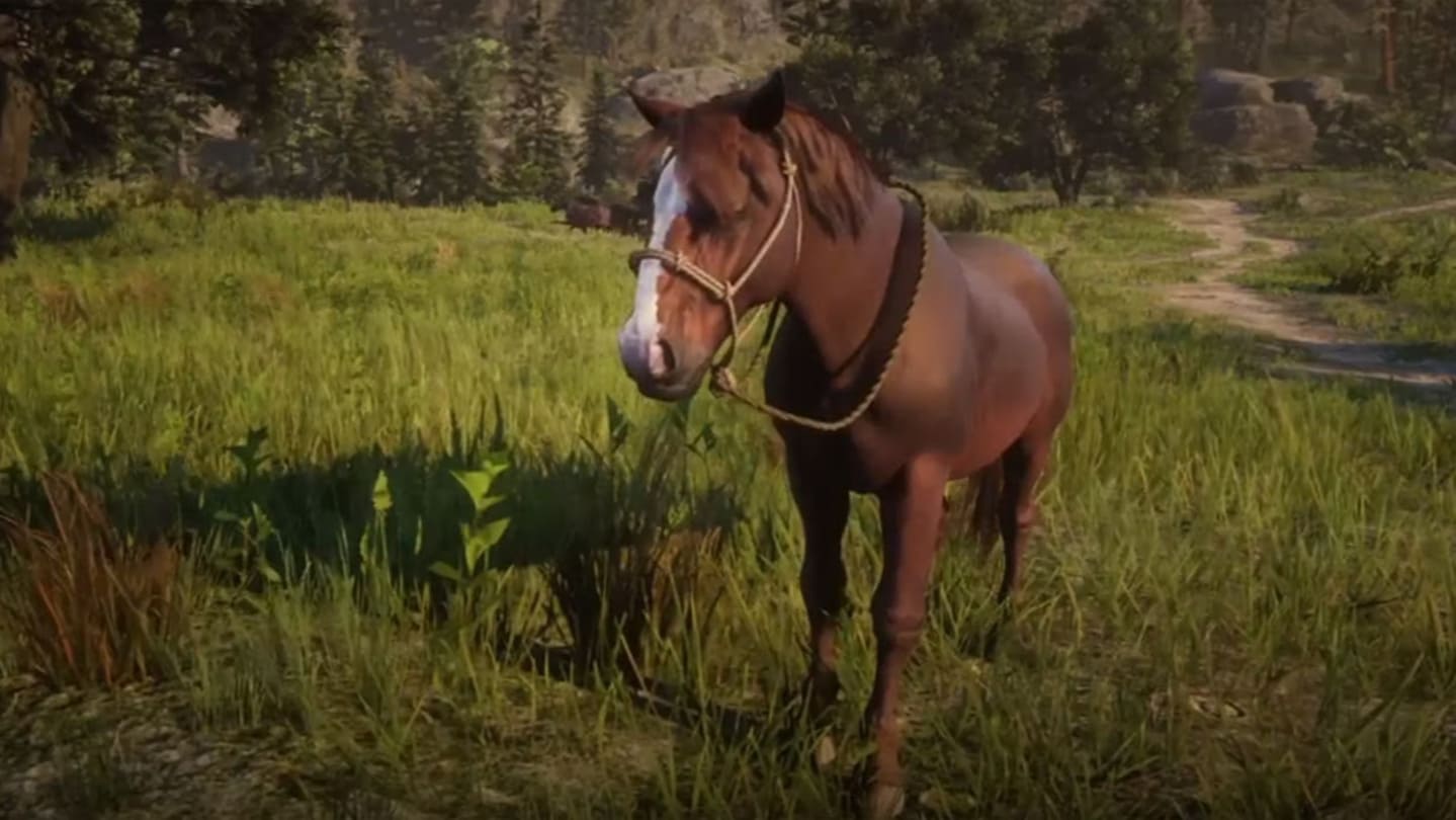 اسب‌های بازی Red Dead Redemption 2