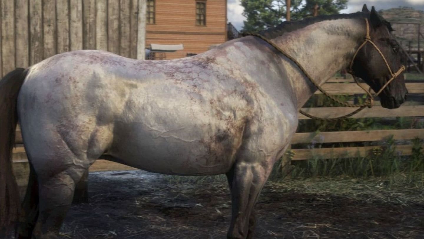اسب‌های بازی Red Dead Redemption 2