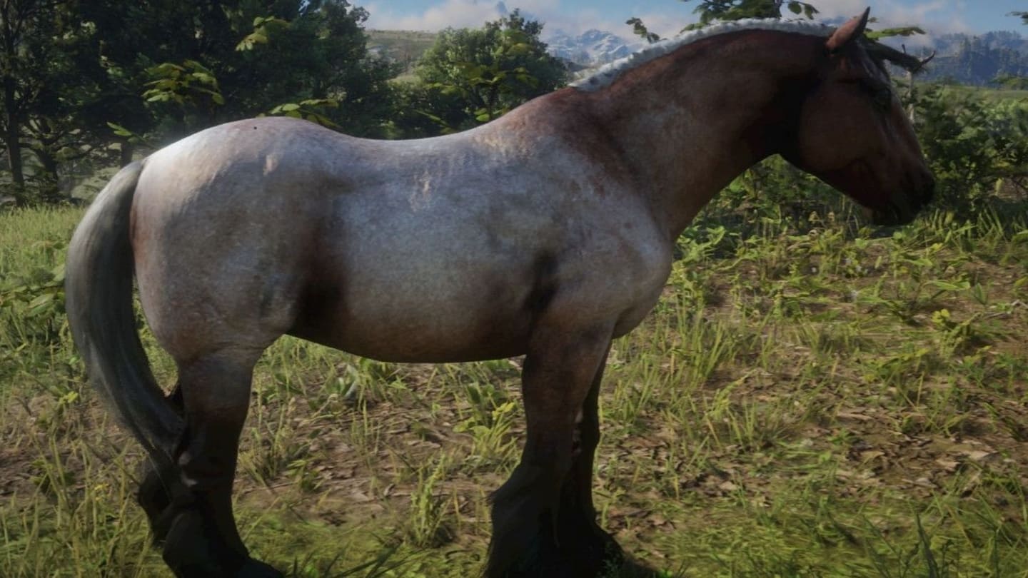 اسب‌های بازی Red Dead Redemption 2