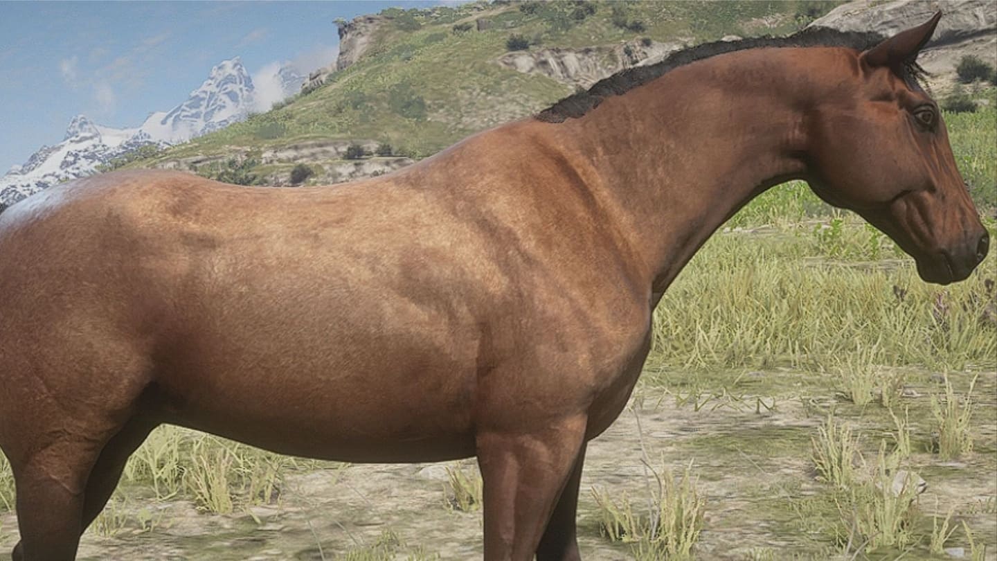 اسب‌های بازی Red Dead Redemption 2