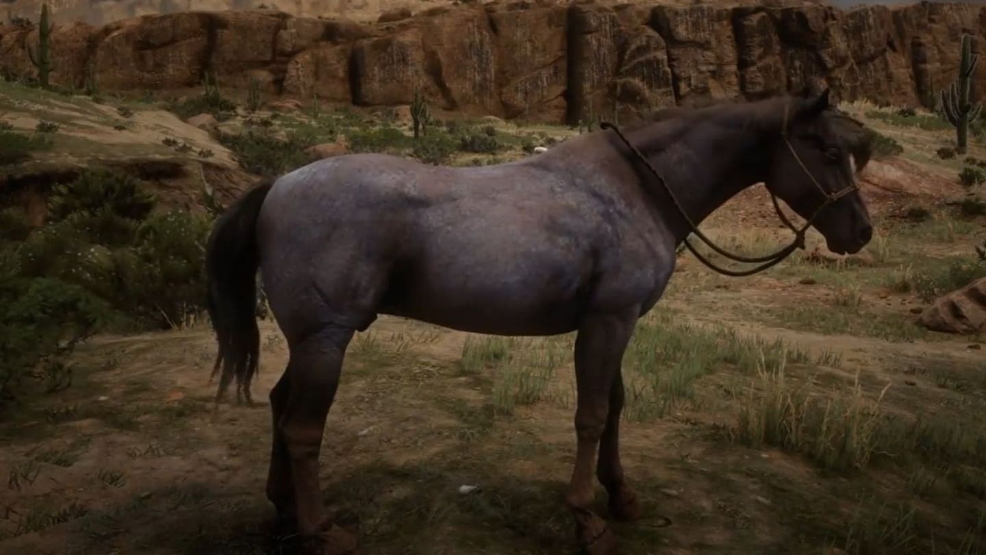 اسب‌های بازی Red Dead Redemption 2